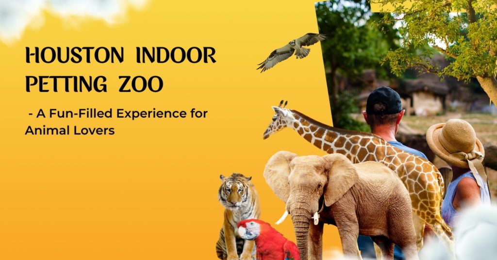 Houston Indoor Petting Zoo - A Fun-Filled Experience for Animal Lovers