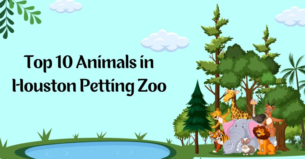 Top 10 Animals in Houston Petting Zoo